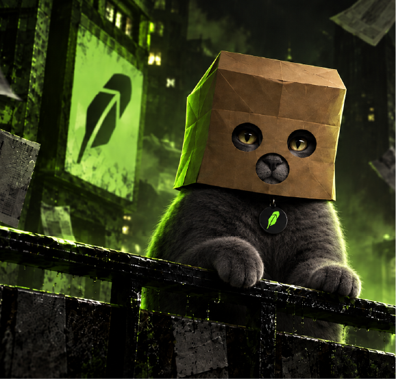 XWYCat