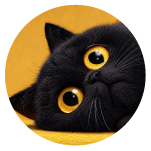 Kuro-Chan